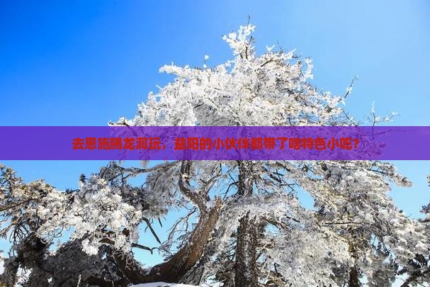 益阳去恩施腾龙洞旅游小吃