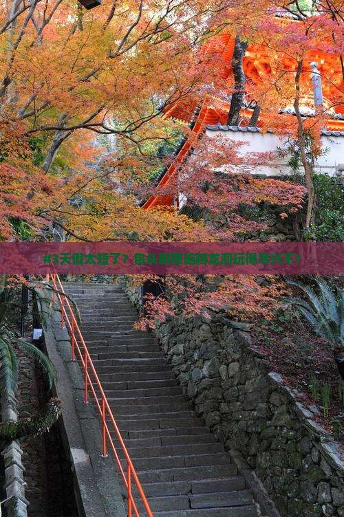 包头到恩施腾龙洞三日游