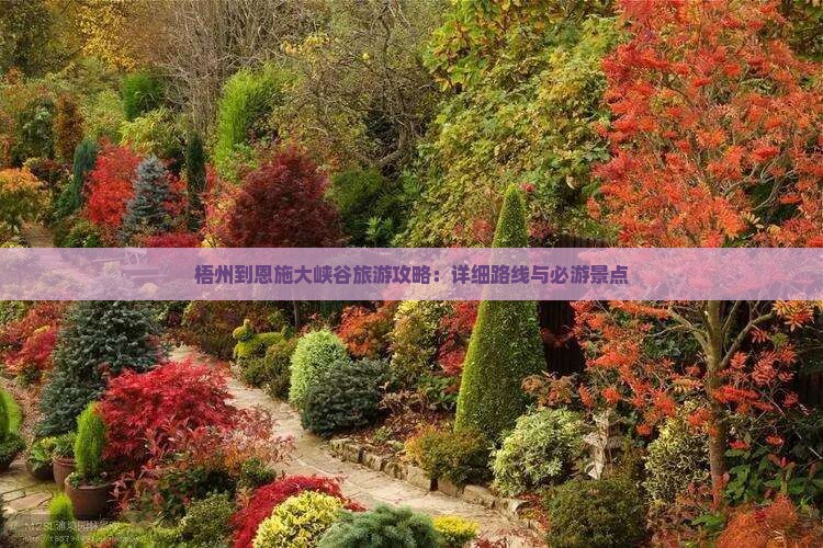 梧州去恩施大峡谷攻略