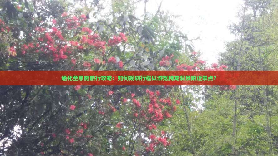 通化到恩施腾龙洞景点