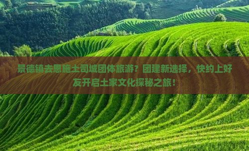 景德镇去恩施土司城团体旅游