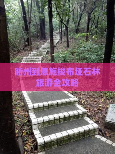 衢州到恩施梭布垭石林旅游