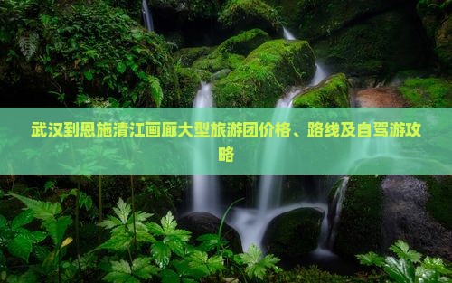 武汉到恩施清江画廊大型旅游团