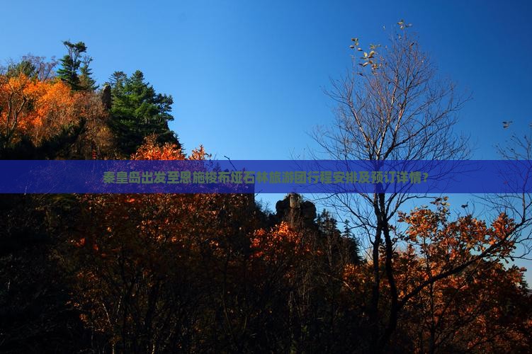 秦皇岛去恩施梭布垭石林大型旅游团