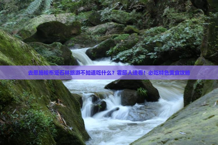 霍邱去恩施梭布垭石林旅游小吃