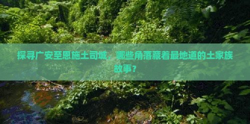 广安到恩施土司城必去地