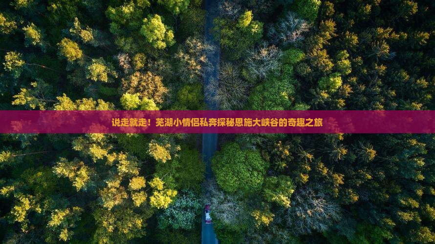 芜湖去恩施大峡谷自由行