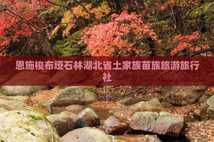 恩施到恩施梭布垭石林旅行社