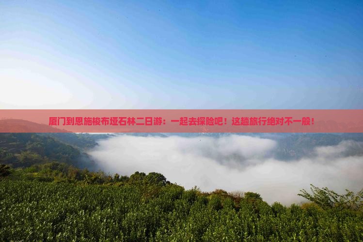 厦门到恩施梭布垭石林二日游