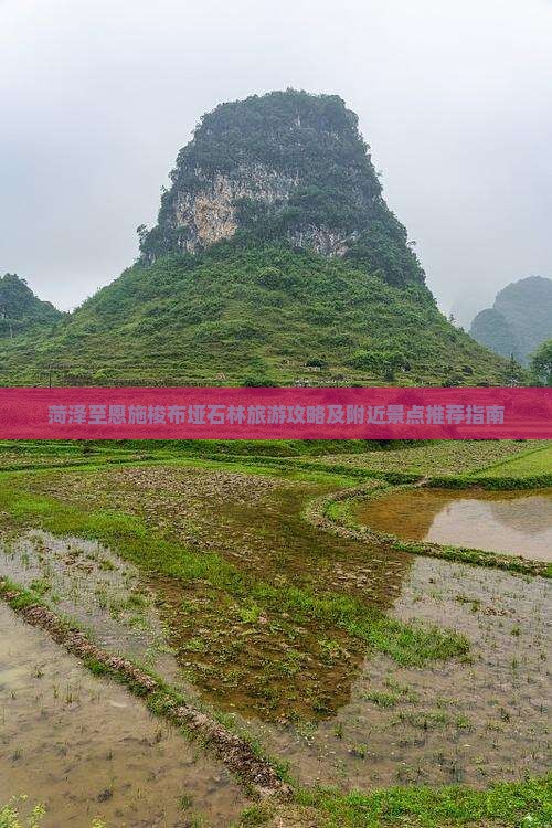 菏泽到恩施梭布垭石林哪里玩