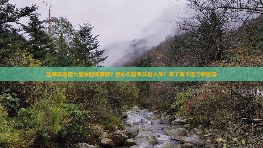 盐城去恩施七星寨团体旅游