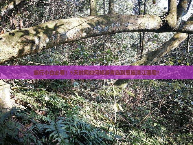 青岛到恩施清江画廊五日游