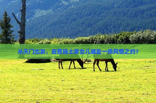天门到恩施土家女儿城景点