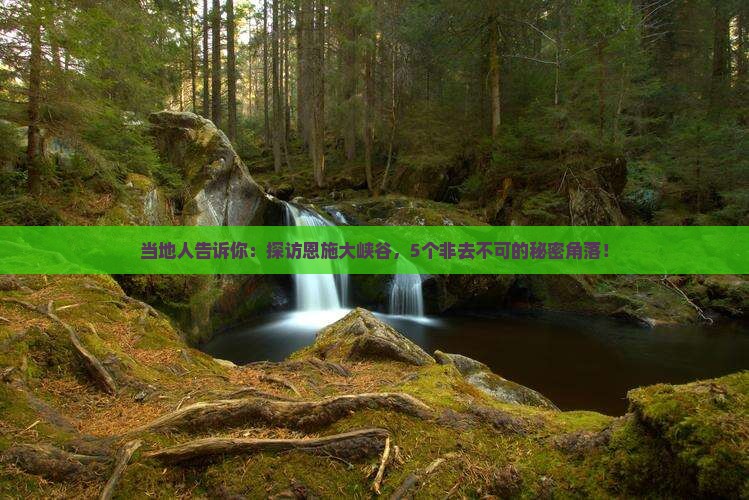 恩施到恩施大峡谷必去地