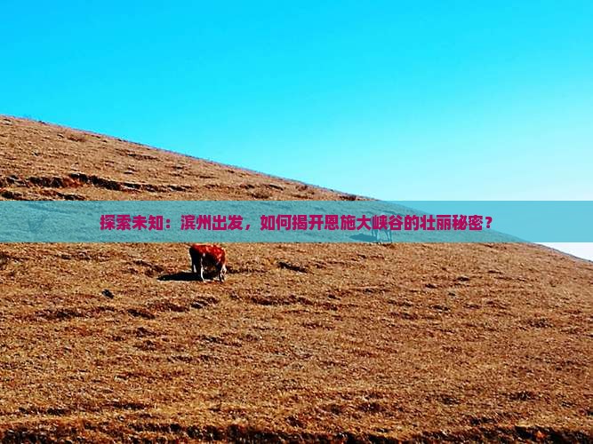 滨州去恩施大峡谷攻略