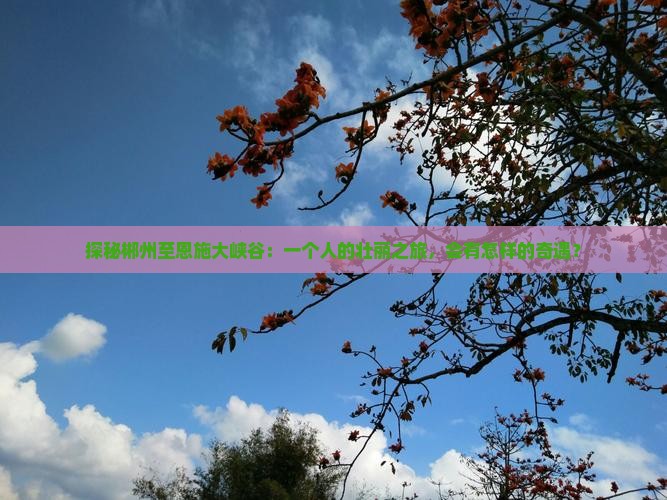 郴州到恩施大峡谷个人游