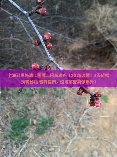 上海到恩施清江画廊二日游