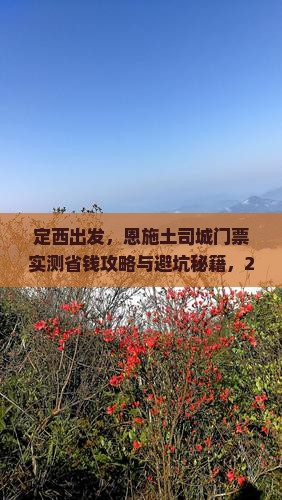 定西到恩施土司城门票