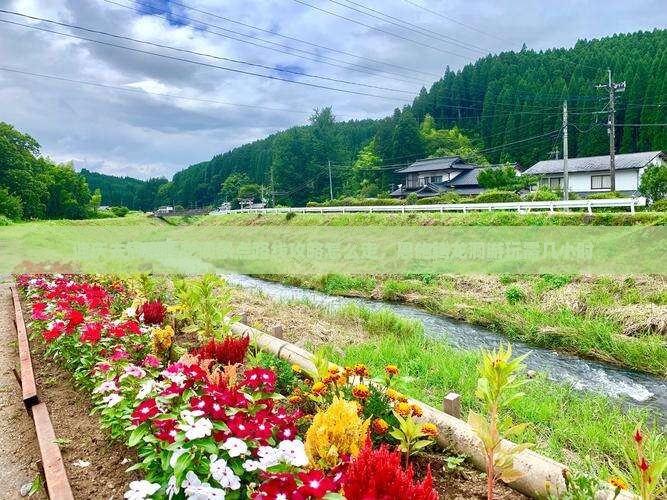 迪庆去恩施腾龙洞景点
