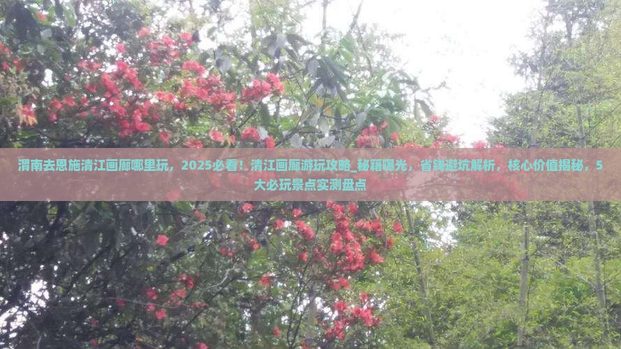渭南去恩施清江画廊哪里玩