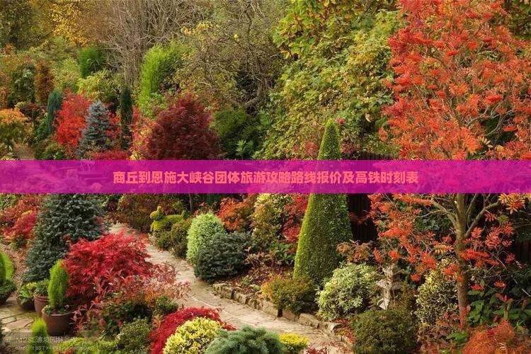 商丘到恩施大峡谷团体旅游