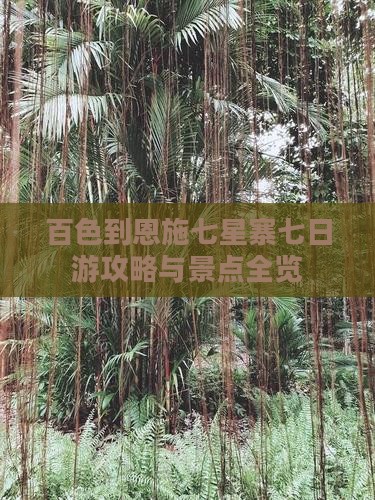 百色到恩施七星寨七日游
