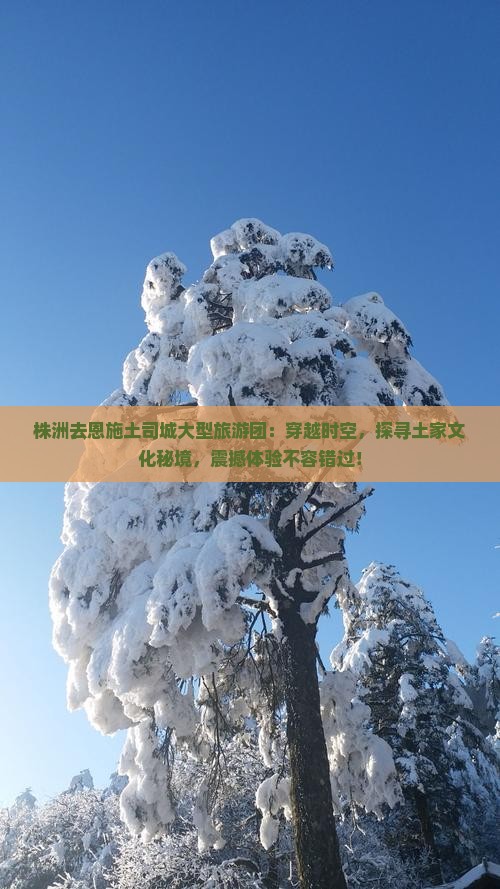 株洲去恩施土司城大型旅游团