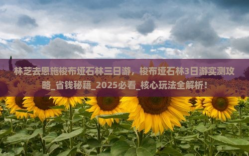 林芝去恩施梭布垭石林三日游