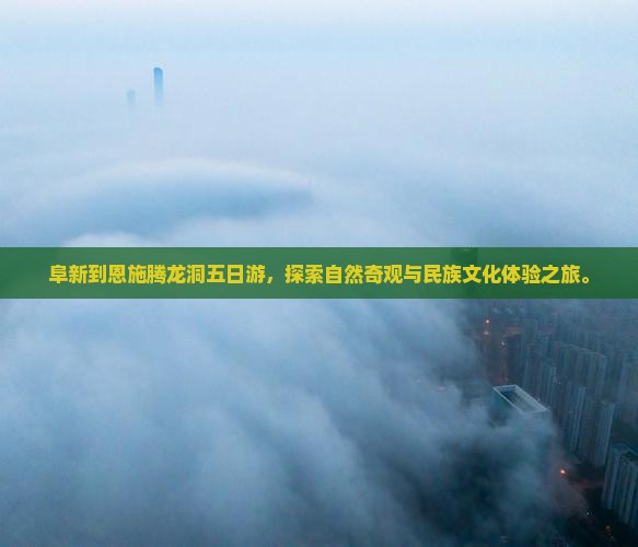 阜新到恩施腾龙洞五日游
