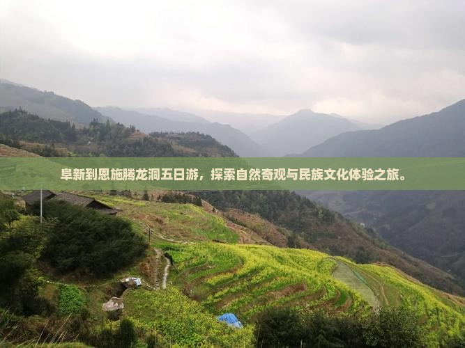 阜新到恩施腾龙洞五日游