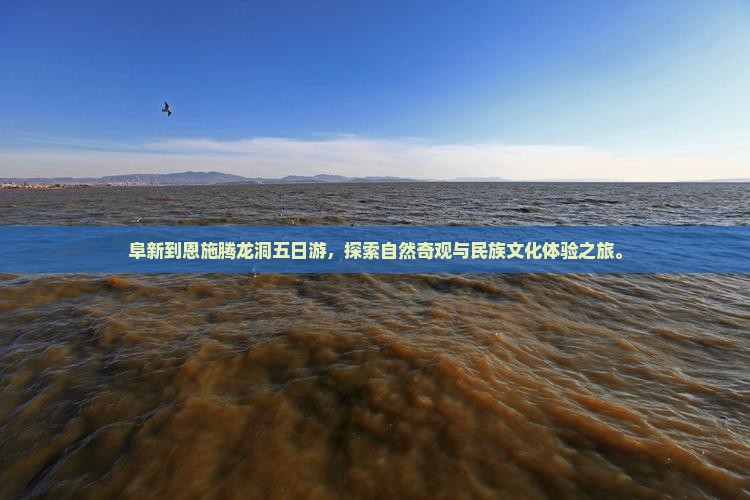 阜新到恩施腾龙洞五日游