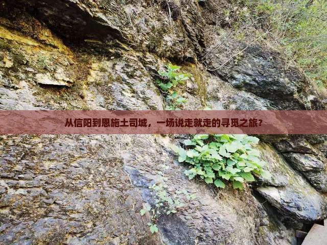信阳到恩施土司城团体旅游