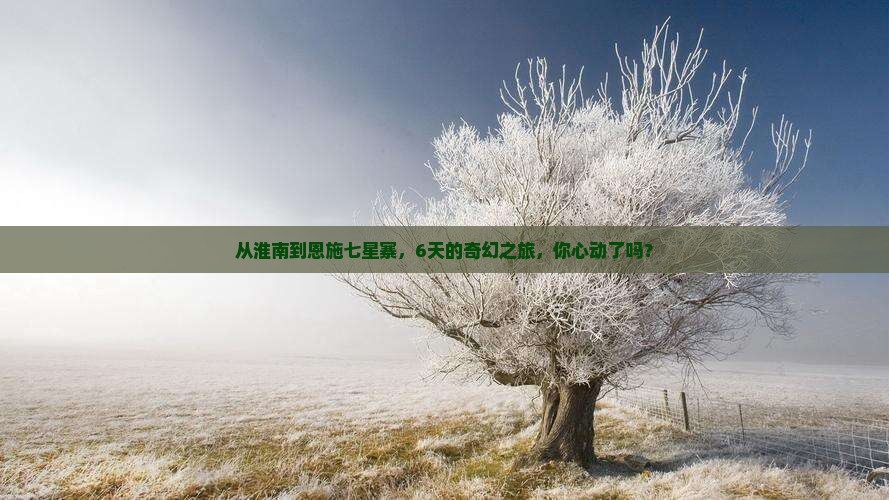 淮南到恩施七星寨六日游