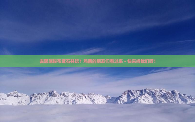 鸡西去恩施梭布垭石林旅行社