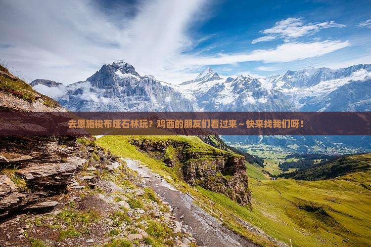 鸡西去恩施梭布垭石林旅行社
