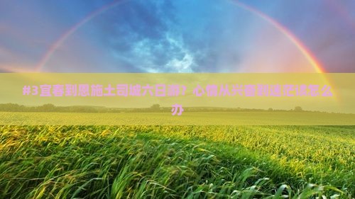 宜春去恩施土司城六日游