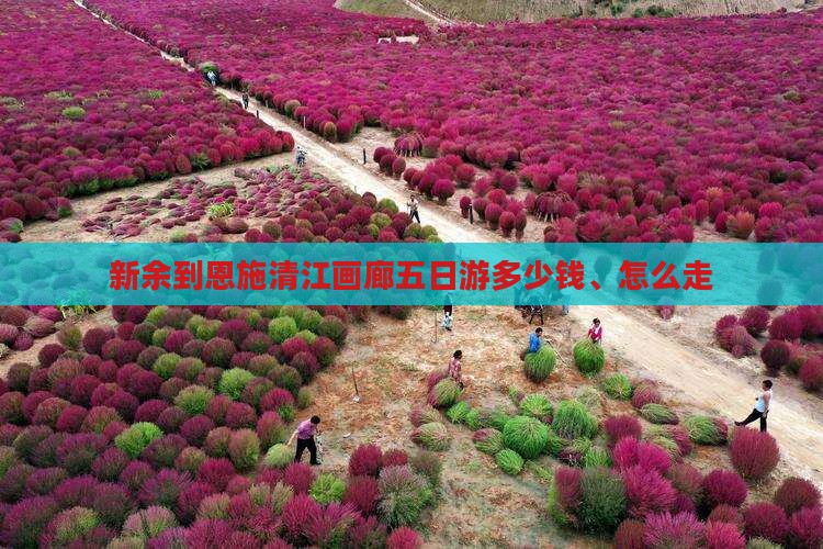 新余到恩施清江画廊五日游