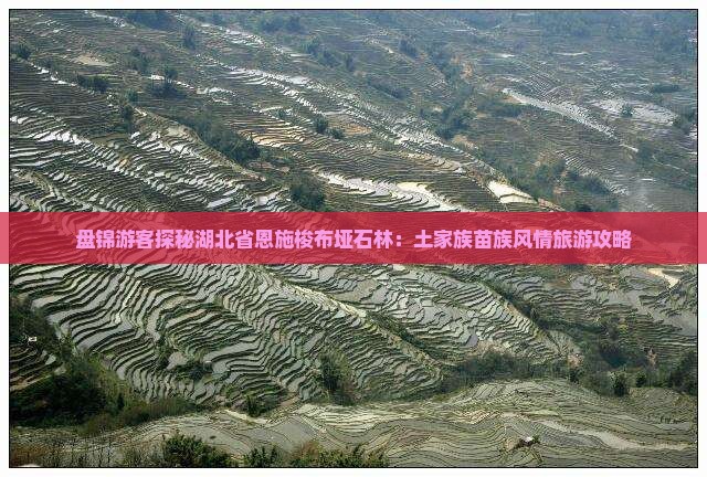 盘锦去恩施梭布垭石林旅游