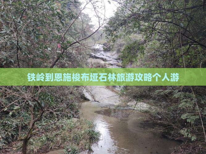 铁岭去恩施梭布垭石林个人游