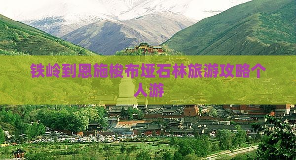 铁岭去恩施梭布垭石林个人游