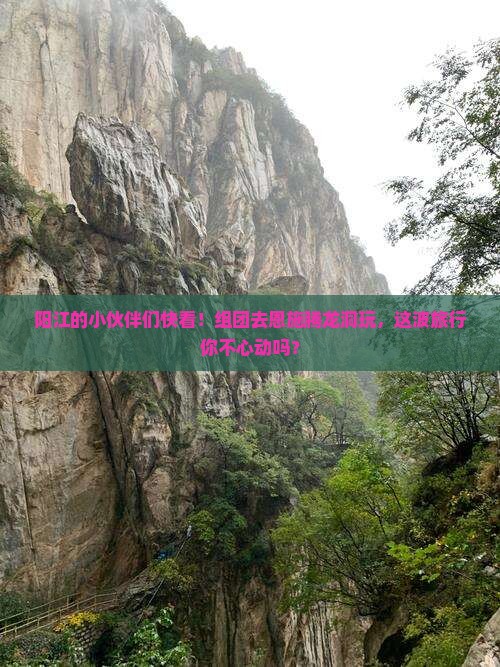 阳江到恩施腾龙洞团体旅游