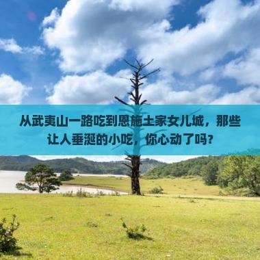 武夷山到恩施土家女儿城旅游小吃
