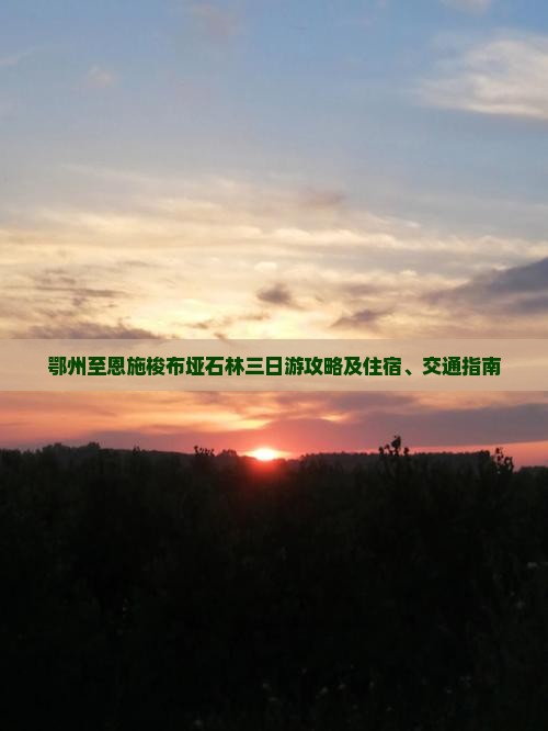 鄂州到恩施梭布垭石林三日游