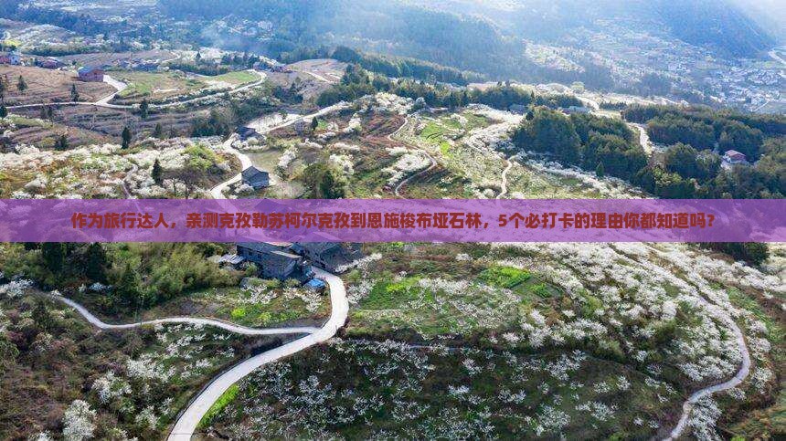 克孜勒苏柯尔克孜去恩施梭布垭石林必去地