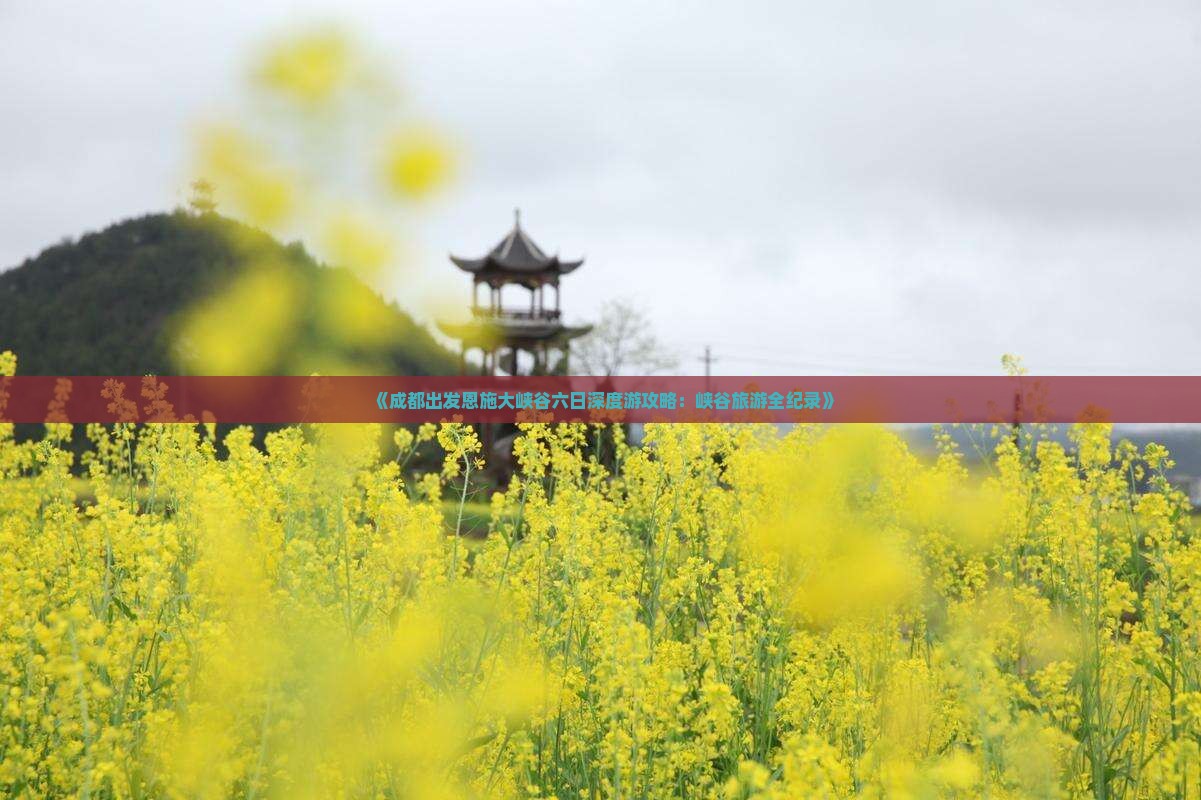 成都到恩施大峡谷六日游