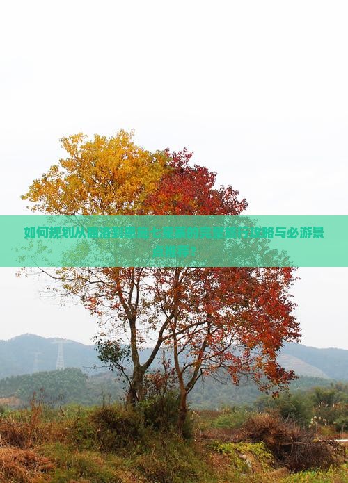商洛去恩施七星寨攻略