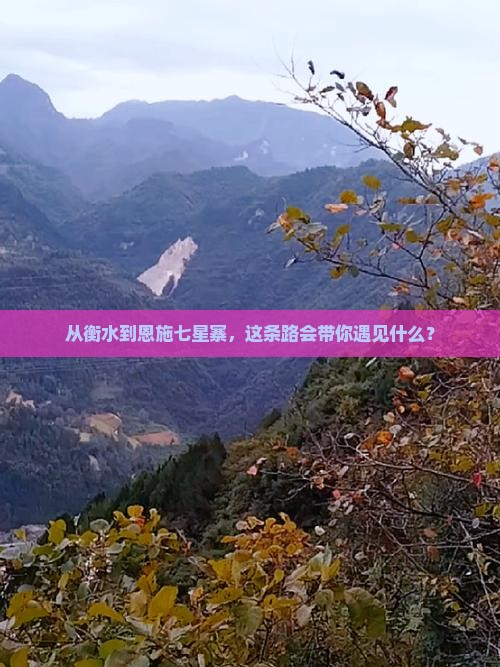 衡水去恩施七星寨哪里玩