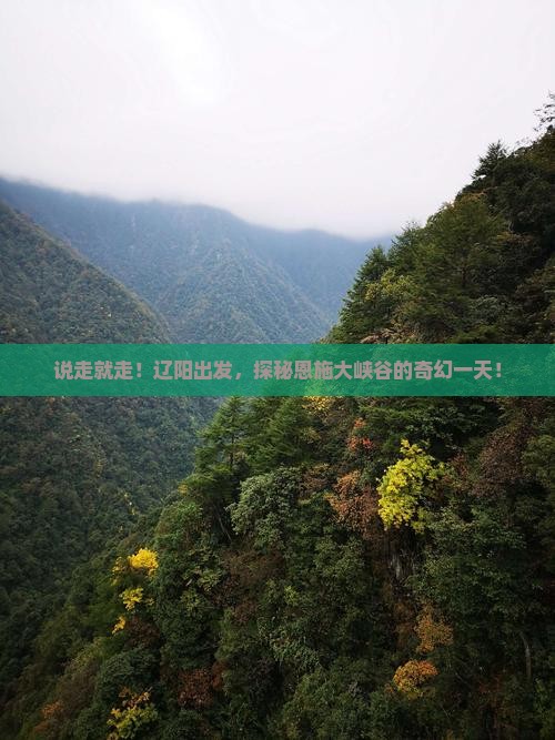 辽阳去恩施大峡谷一日