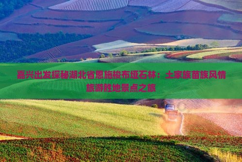 嘉兴去恩施梭布垭石林景点