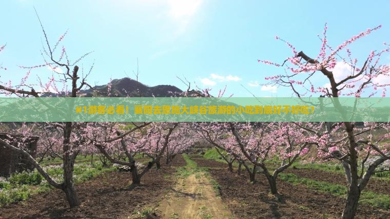 襄阳去恩施大峡谷旅游小吃